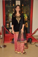at Anant Mahadevan_s Mee Sindhutai Sapkal success bash in Worli, Mumbai on 29th July 2011 (12).JPG